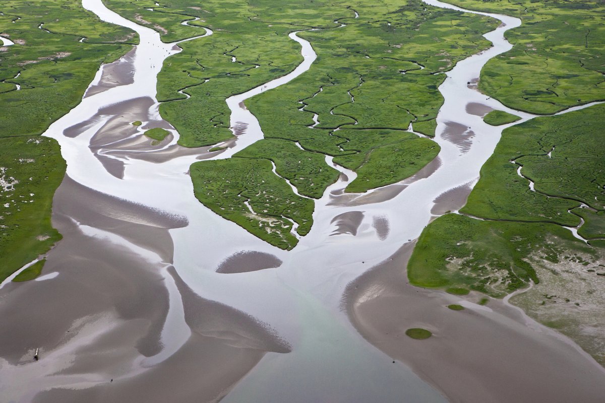 LightHawk 🌎🛩️ tweet media