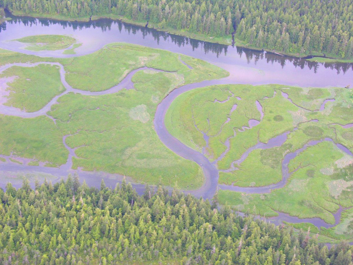 LightHawk 🌎🛩️ tweet media