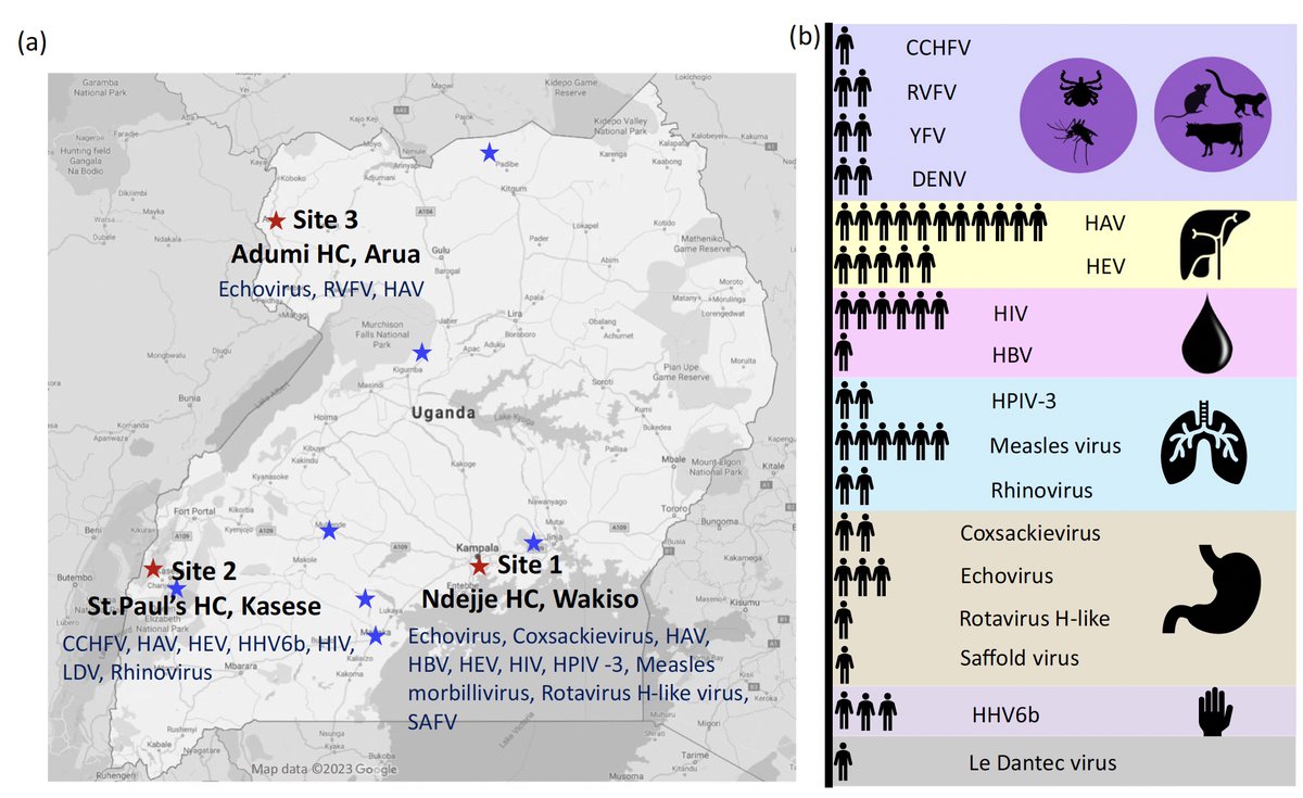 Gerald Mboowa tweet media