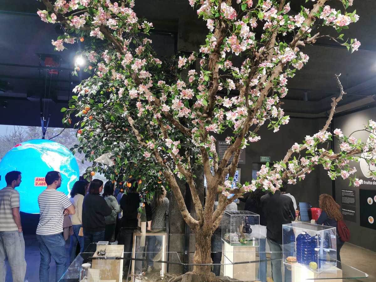 Avui fem formació a l'Espai Fruita #STEAMcat <a href="/CRPSegria/">CRP del Segrià</a>