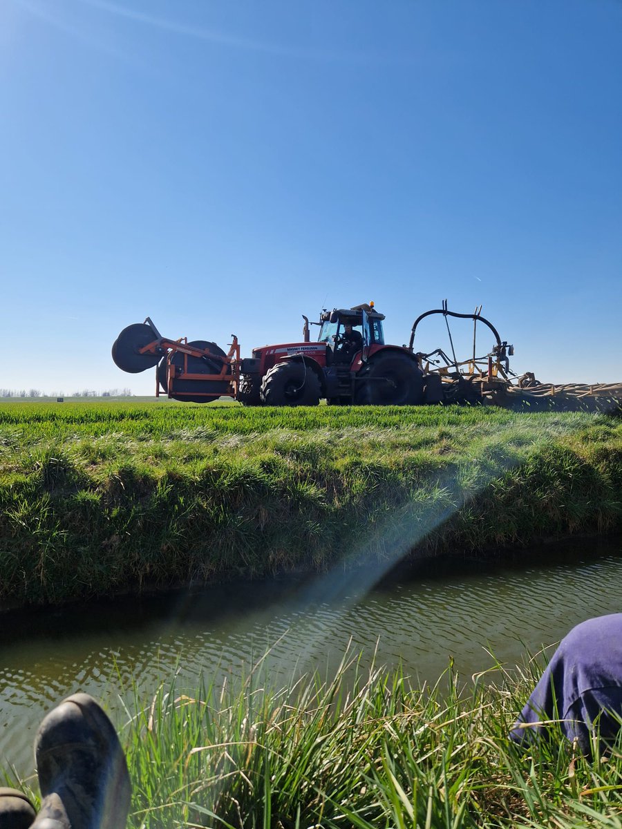 Uitrij resultaat was niet emissie arm volgens nvwa controle vandaag. 40 kuub per ha past niet in een sleufje van 5 bij 5cm. Willen we in Nederland kringloop landbouw met minimaal kunstmest gebruik Dan moeten de uitrij regels soepeler voor beteeld bemesten. <a href="/_NVWA/">Nederlandse Voedsel- en Warenautoriteit</a> <a href="/CUMELANederland/">Cumela</a>