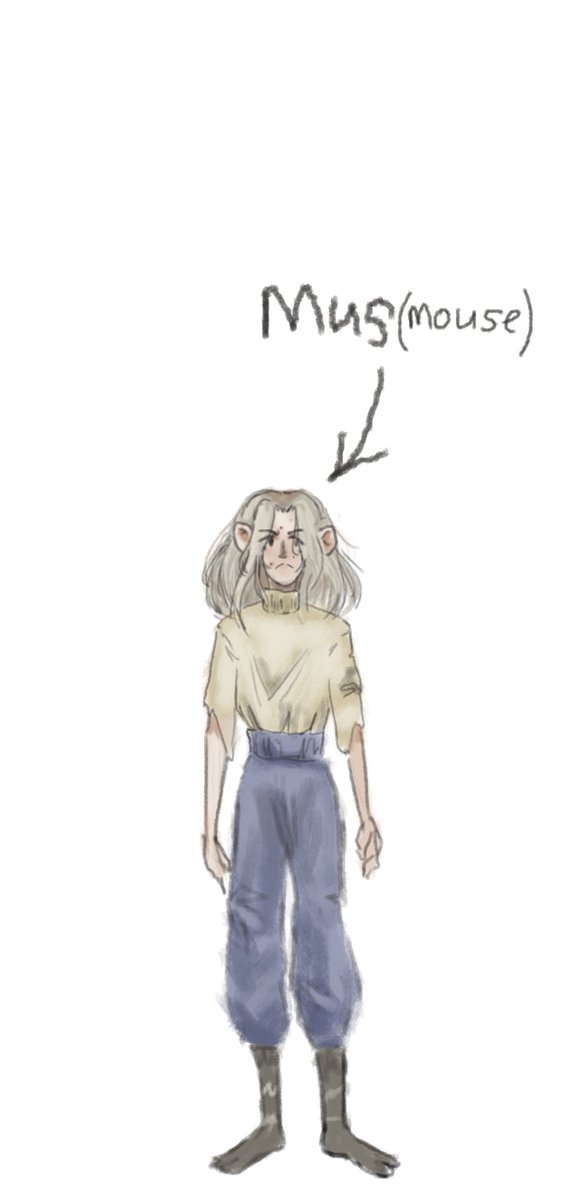 Flanseo? tweet media