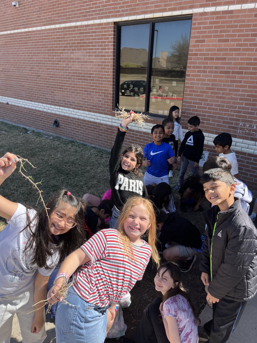 Time to get ready to plant milkweed for the butterflies ⁦<a href="/LindseyElem/">Lindsey  Elementary</a>⁩