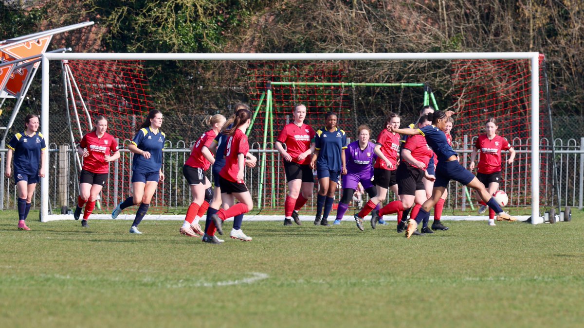 Hardy Scott Photo's tweet media