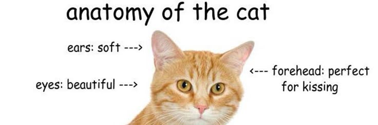 rielsafs's tweet image. ── .✦ #studytwt #studytwtbr ᶻ 𝗓 𐰁 .ᐟ

ᯓ 10 | 1° ano do EM | foco no ENEM e em vestibulares (em específico fuvest e o da ufs)

ᯓ threads sobre jogos, surtos por gatos, recomendações de livros e músicas e váriaaas dúvidas .ᐟ