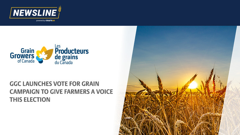 Newsline tweet media