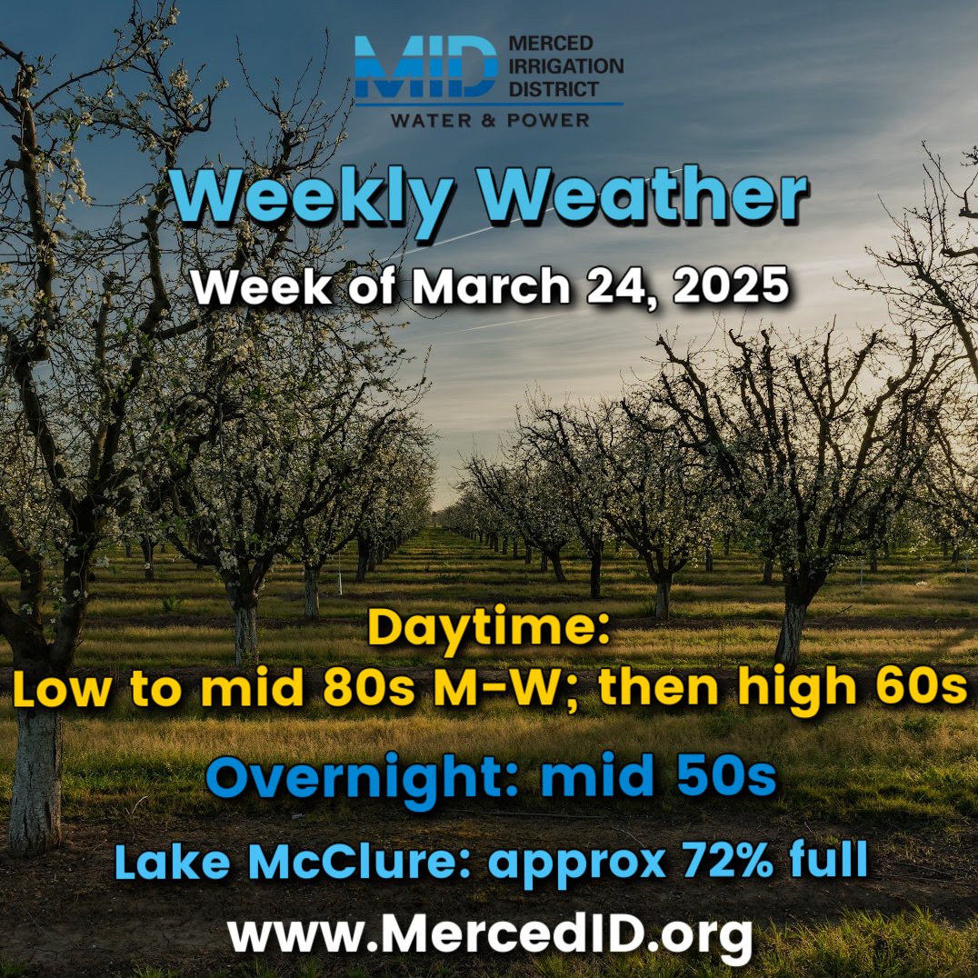 Merced ID (@merced_id) on Twitter photo 