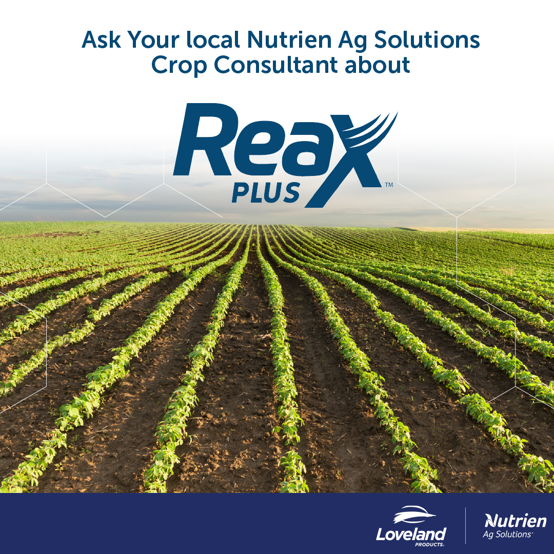 🌱 Micronutrients Help Your Crops Realize Their Potential! During planting and early growth, crops rely on vital micronutrients like zinc, boron, and iron to build a strong foundation for health and yield. With ReaX Plus™ micronutrients, your crops can thrive all season long.