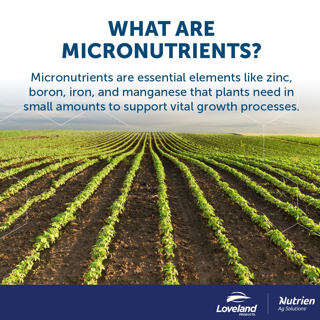 Loveland Products tweet media