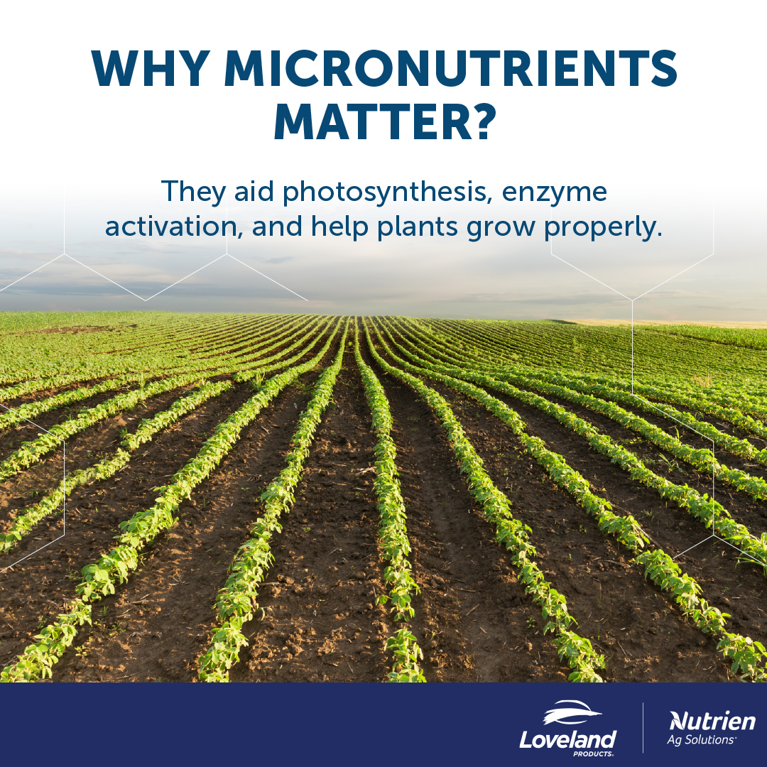 Loveland Products tweet media