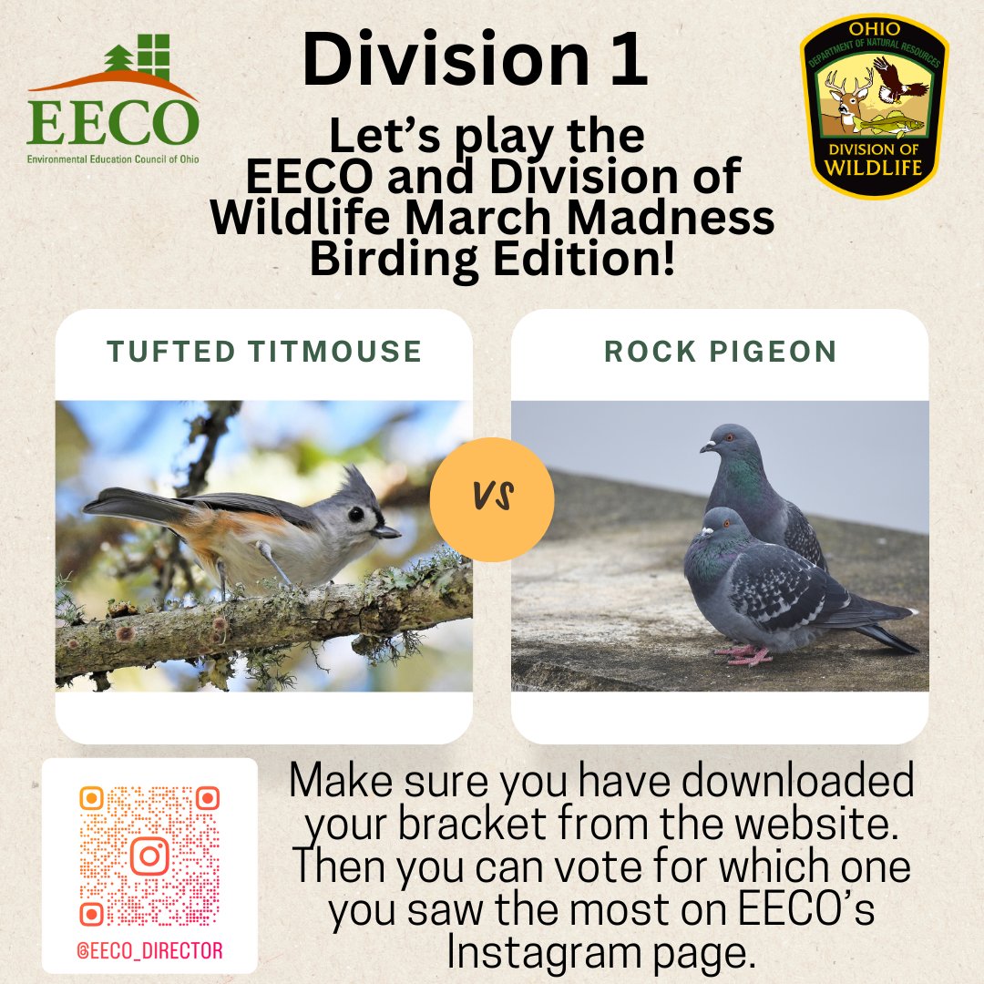 directorEECO's tweet image. Play along and let us know which bird you saw more by voting on our Instagram page. Brackets are due via email or Facebook by Monday, March 24th! 
To learn about our March Madness Bird Brackets, go to: eeco.wildapricot.org/page-1786411

#getoutside #marchmadnessbirdbracket #BirdingFun