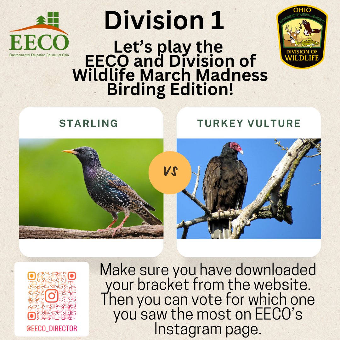 directorEECO's tweet image. Play along and let us know which bird you saw more by voting on our Instagram page. Brackets are due via email or Facebook by Monday, March 24th! 
To learn about our March Madness Bird Brackets, go to: eeco.wildapricot.org/page-1786411

#getoutside #marchmadnessbirdbracket #BirdingFun