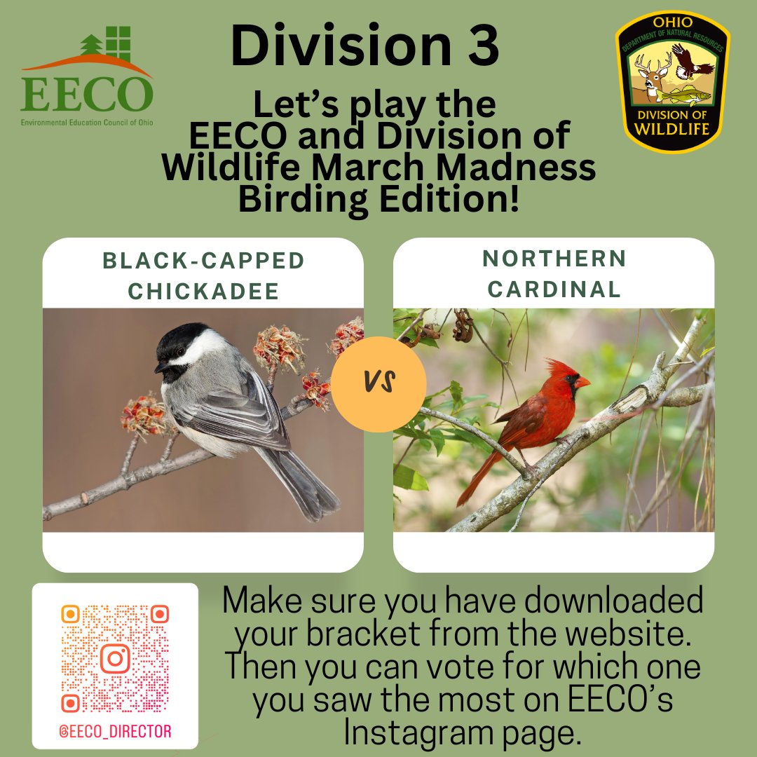 directorEECO's tweet image. Play along and let us know which bird you saw more by voting on our Instagram page. Brackets are due via email or Facebook by Monday, March 24th! 
To learn about our March Madness Bird Brackets, go to: eeco.wildapricot.org/page-1786411

#getoutside #marchmadnessbirdbracket #BirdingFun