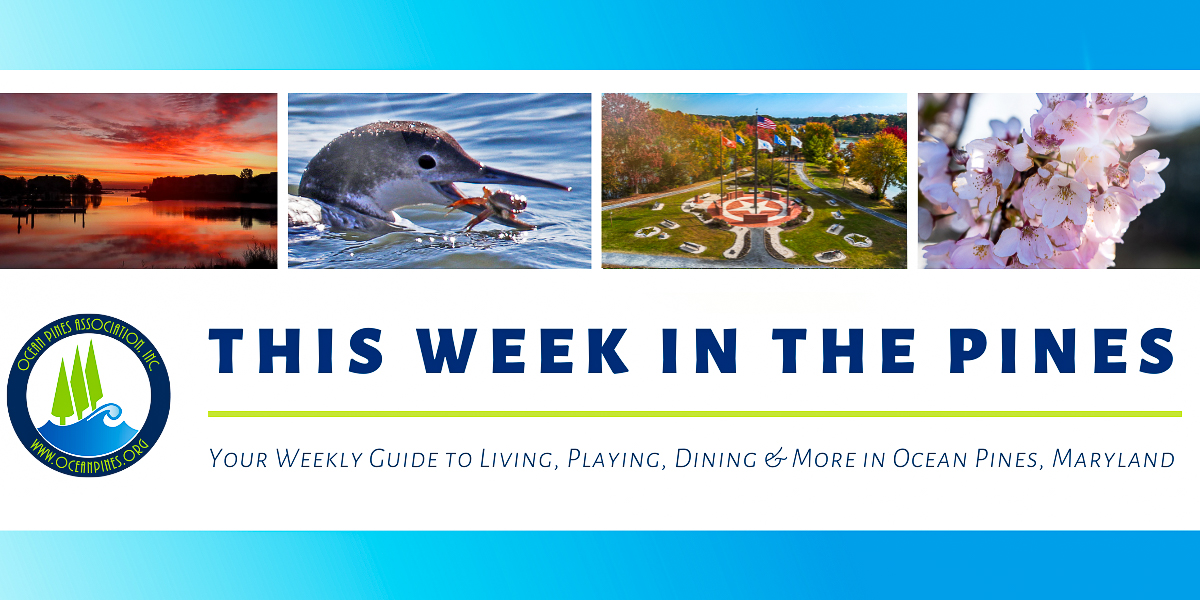 Highlights:

• Board, Commissioners talk water/wastewater issues
• OPA restaurants closed during Touch of Italy transition
• Fundraiser announced to honor local WWII hero
• Spring Flea Market coming up, vendor space available

More: conta.cc/4j11pT1