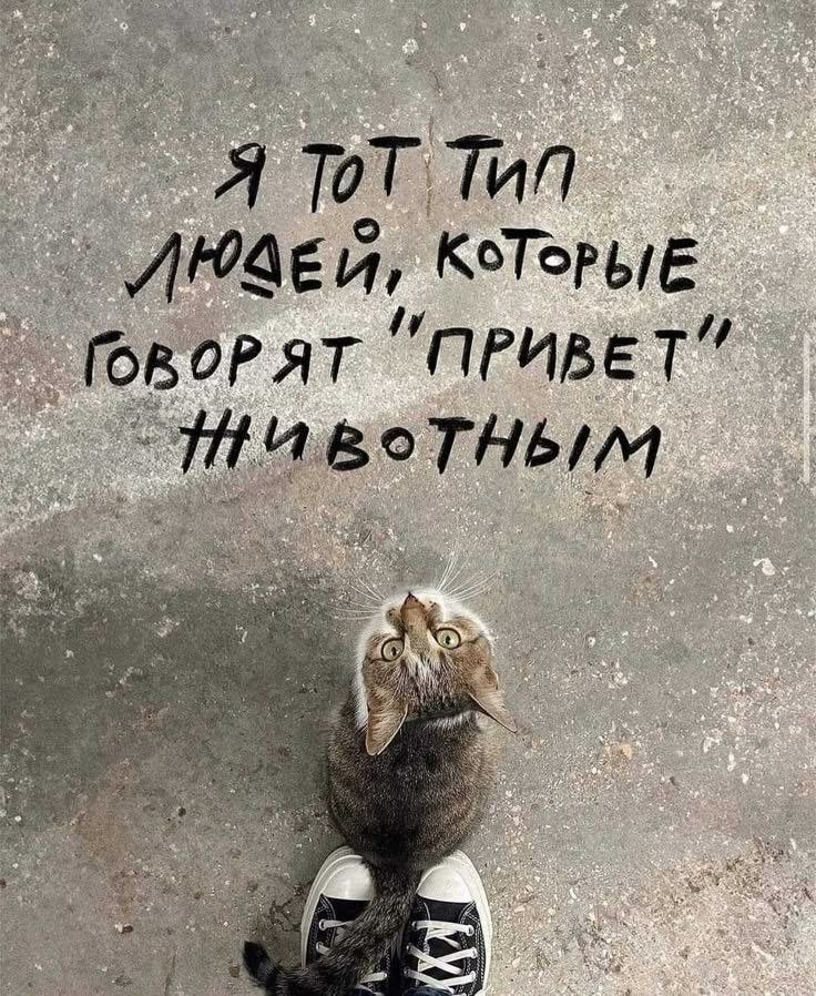 Всегда так делаю