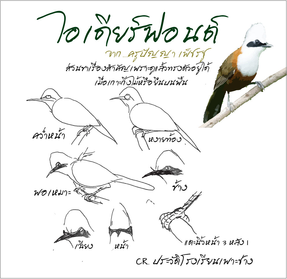 f0nt's tweet image. เคอาร์ตสถาปัตย์ (Kart-Satapat)
by เคอาร์ต ฟอนต์

เป็นฟอนต์ที่เขียนขึ้นจากแรงบันดาลใจลายมือ อาจารย์ปัญญา เพ็ชรชู ศิลปินสาขาจิตรกรรม ของโรงเรียนเพาะช่างชอบและจำติดตาเลย คิดว่าทำได้หลายประโยชน์เลยทำมาเป็นฟอนต์ครับ

ดาวน์โหลดฟรี
f0nt.com/release/kart-s…