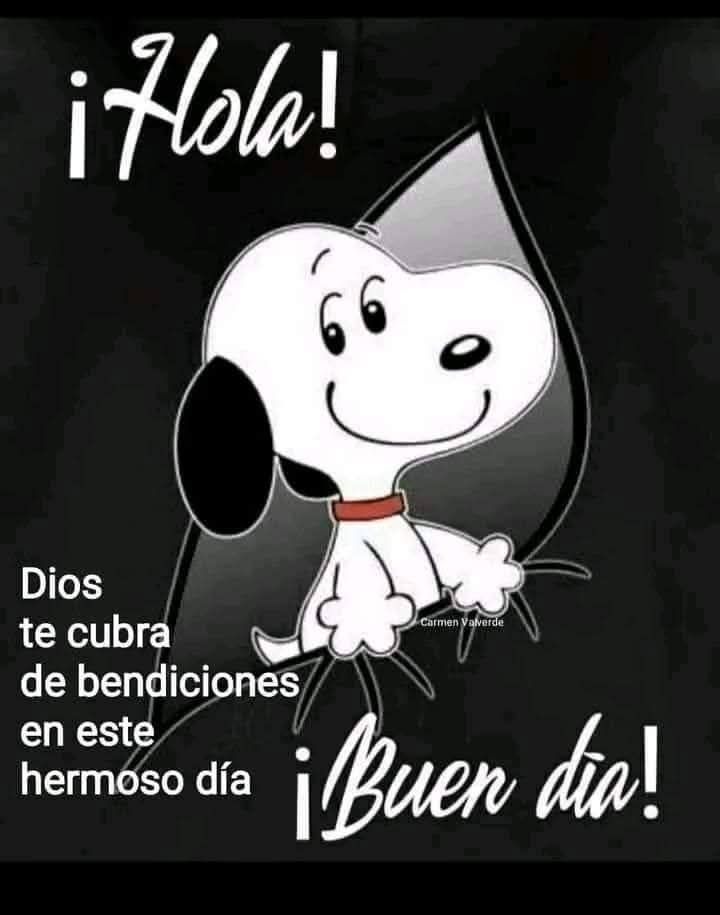😈Han♓Solo 🇲🇽👼 tweet media