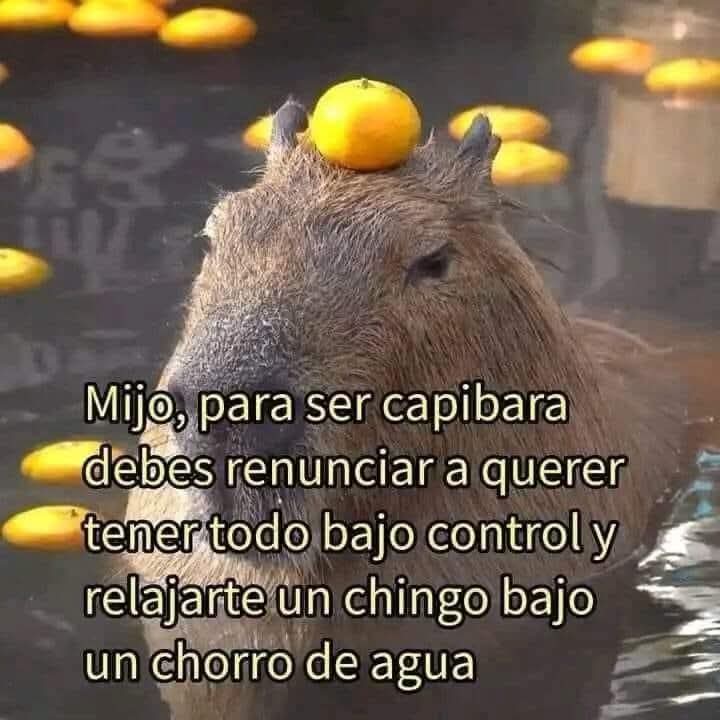 Nasty Poet (@nxstypxet) on Twitter photo 