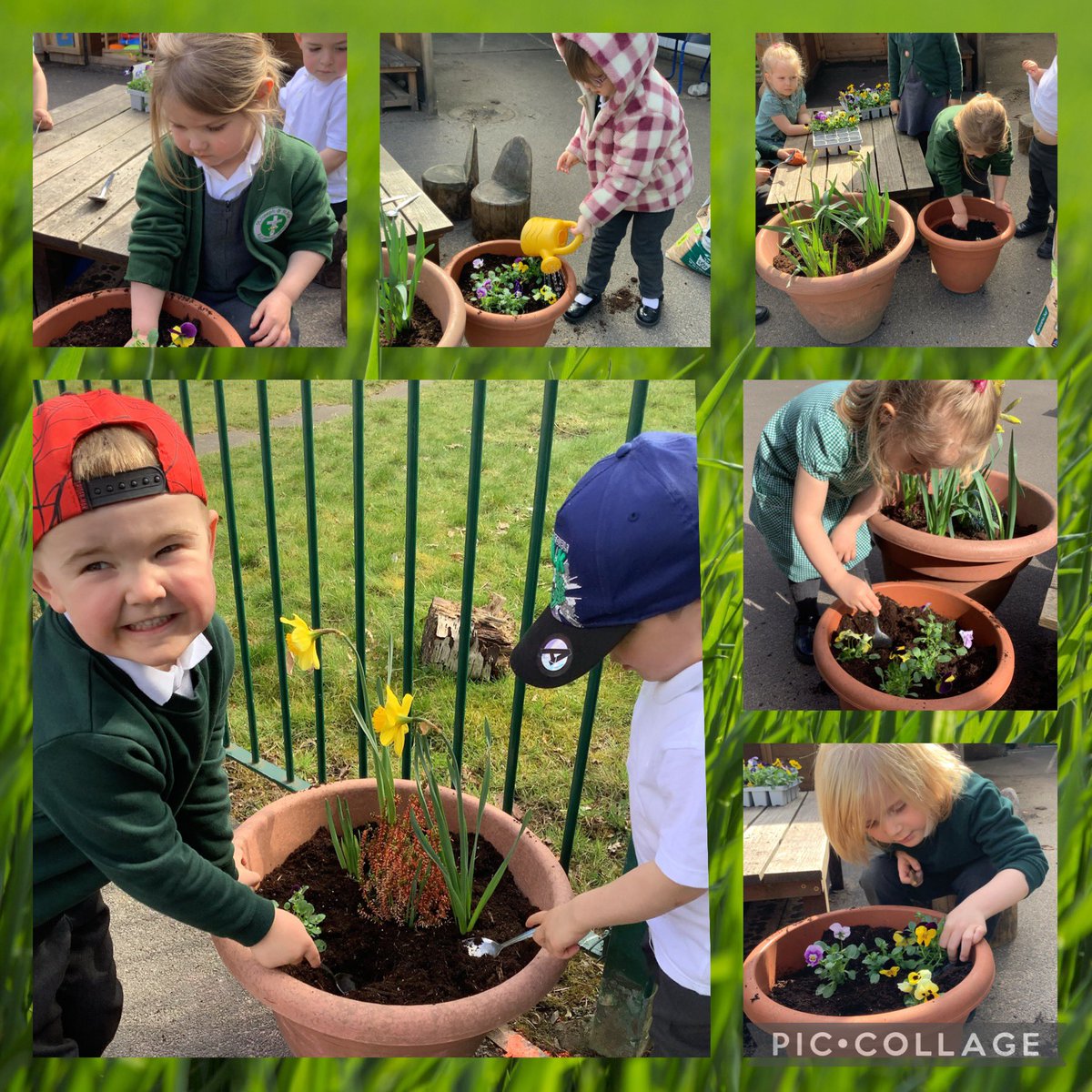 Mrs Ellison (@sjsbmrsellison) on Twitter photo Nursery have been busy exploring how things grow. We have planted cress and watched it grow 🌱, planted flowers outside and given them lots of water 🌺and finally planted flowers in our Resurrection Garden ✝️ We are growing in love during #Lent ❤️ <a href="/StJosephStBede/">StJoseph StBede RCPS</a> #sjsbRE #EYFS Nursery have been busy exploring how things grow. We have planted cress and watched it grow 🌱, planted flowers outside and given them lots of water 🌺and finally planted flowers in our Resurrection Garden ✝️ We are growing in love during #Lent ❤️ <a href="/StJosephStBede/">StJoseph StBede RCPS</a> #sjsbRE #EYFS