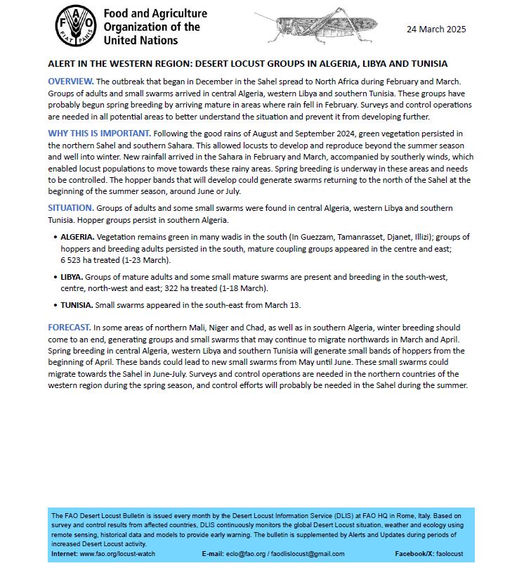 ℹ️Alert: Desert locust groups in #Algeria, #Libya &amp; #Tunisia

➡️Control &amp; surveys needed in all potential areas of the Western Region.

➡️Forecast: Spring breeding in central Algeria, western Libya &amp; southern Tunisia expected from the beginning of April. 
fao.org/locust-watch/en