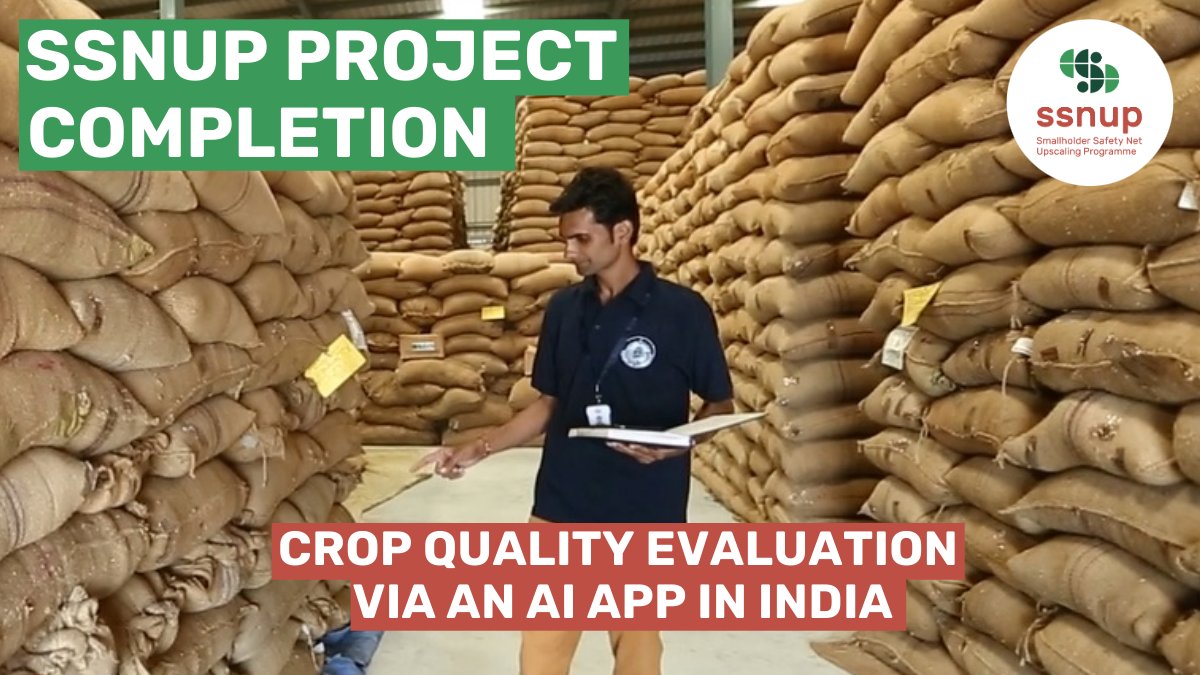 The ADA-coordinated Smallholder Safety Net Upscaling Programme (#SSNUP) co-sponsored a project by Incofin that put in place an artificial intelligence-based mobile app to monitor the quality of rice, maize and chickpeas stored in @slcm_group warehouses 👉 swll.to/ssnup-slcm
