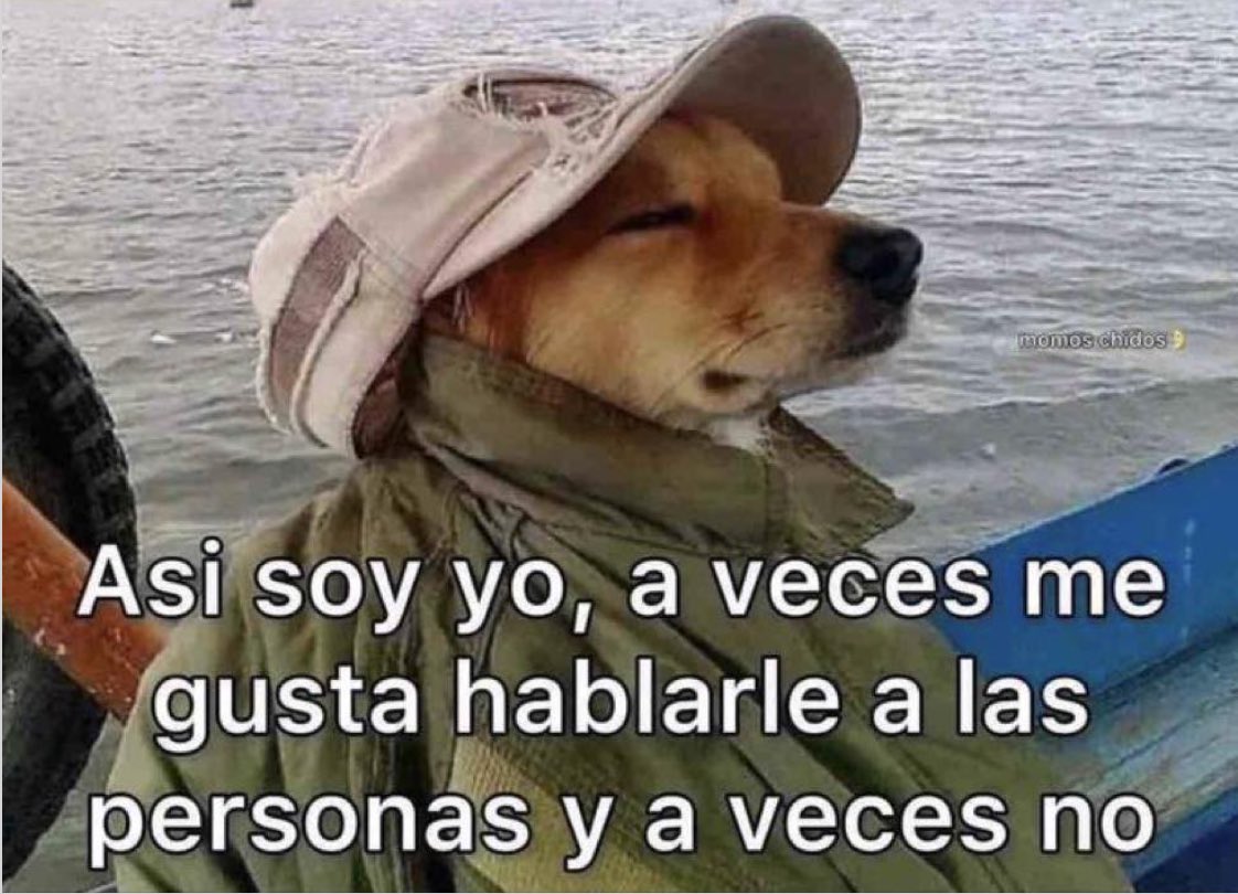 Nada personal.