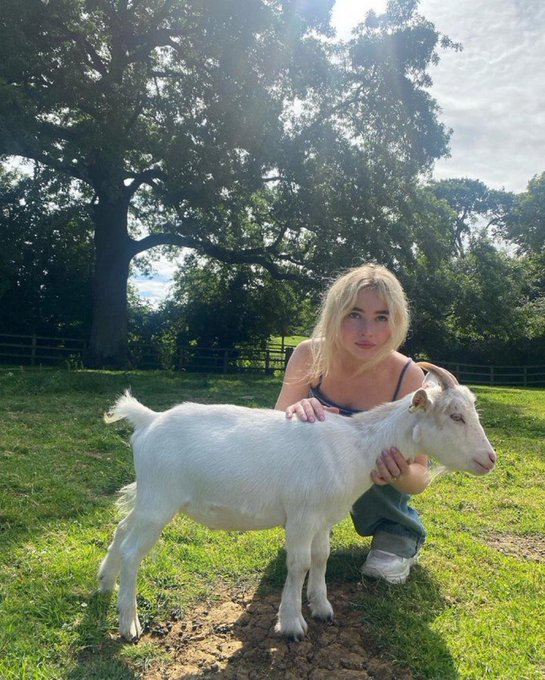 Damn Sabrina Carpenter met Mike Trout