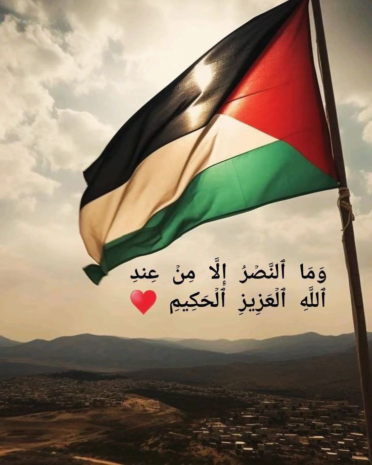 #فلسطين_قضية_الاحرار

نصرة مظلومي غـزّة واجبٌ حتميّ على كلّ مسلم ومن يتخلّف فسوف يُسأل أمام الله 

#فلسطين_قضية_الاحرار