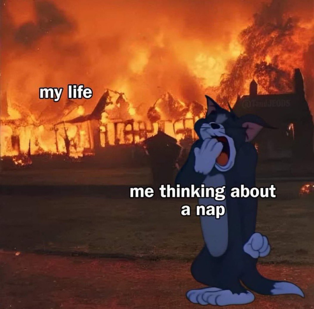 Libras_Society's tweet image. Libra asf 🤣