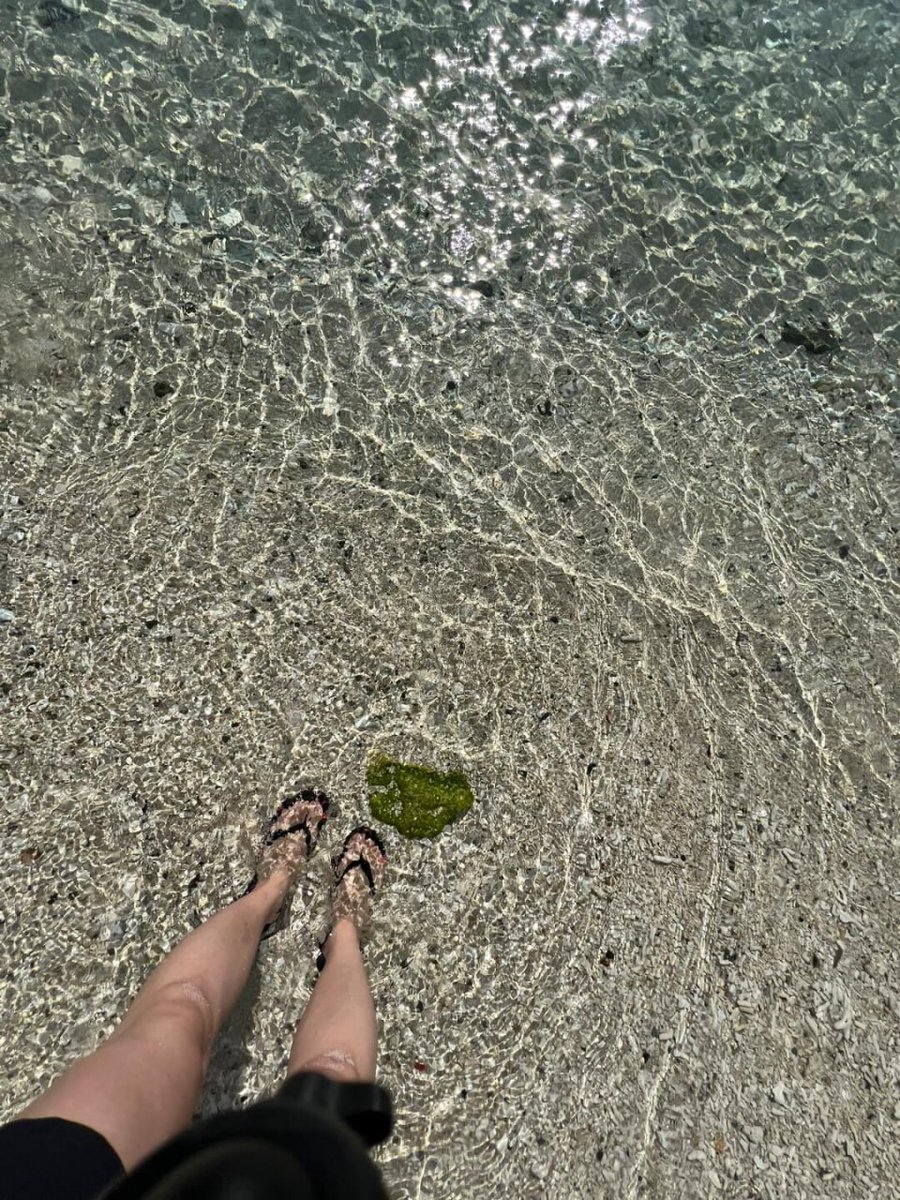 marinalee_1985's tweet photo. Where the ocean kisses the shore, and serenity meets simplicity 🌊✨ #BeachBliss #OceanVibes #Nature'sCanvas https://t.co/mjJL9OgTyC