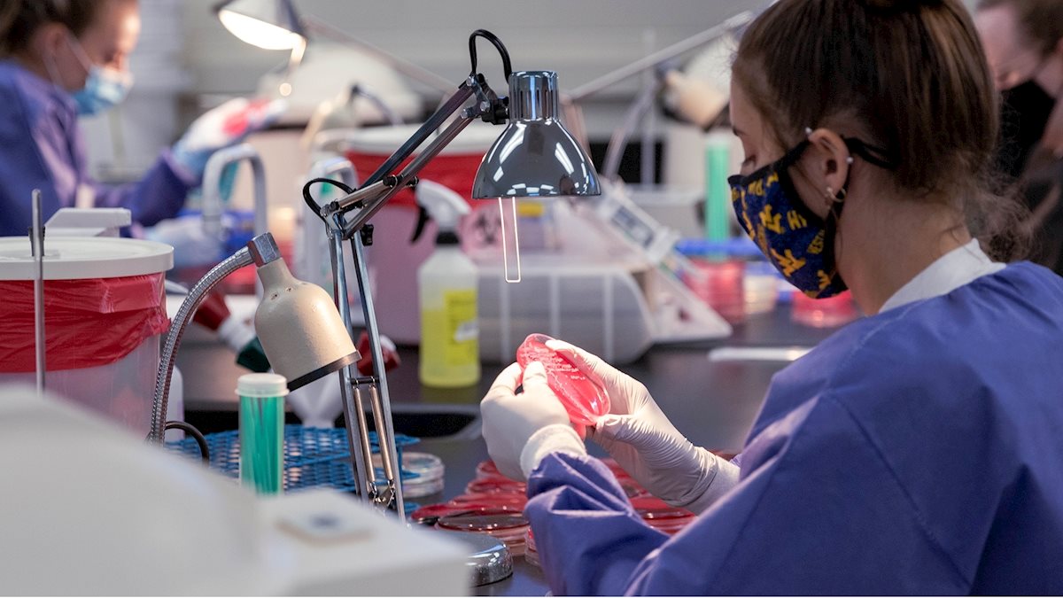 Students interested in learning more about the WVU School of Medicine’s Medical Laboratory Science (MLS) Master’s degree are invited to attend a virtual open house on March 27 at 4 pm via Zoom.

Register here: wvuschoolofmedicine.wufoo.com/forms/m17ru91s…