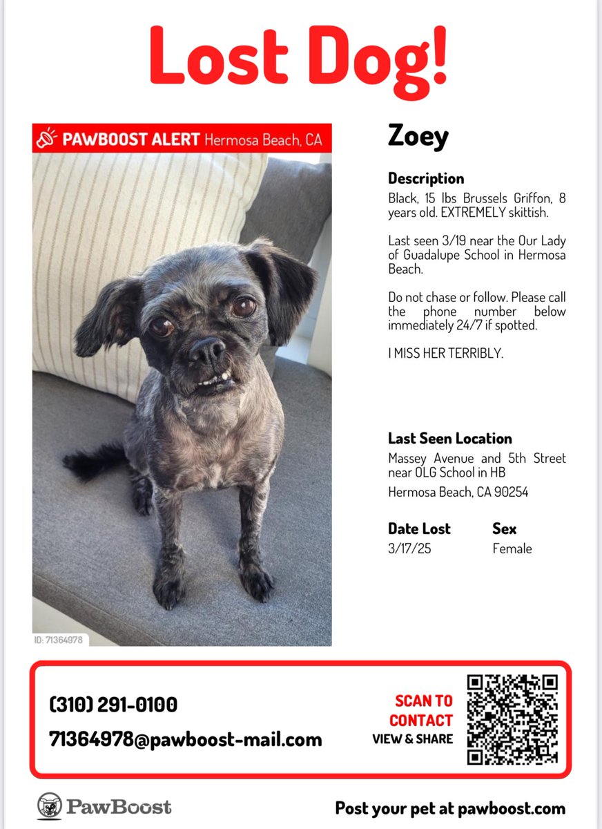 Please share. This pup is missing in the Southbay.