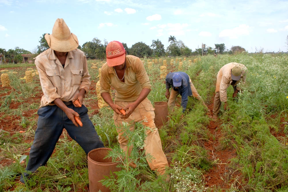 #AnapCuba #RaúlCastro No nos limitemos a resistir. Vamos a salir de estas dificultades, como lo hemos hecho siempre, ¡combatiendo! #UnidosPorCuba #13Congreso