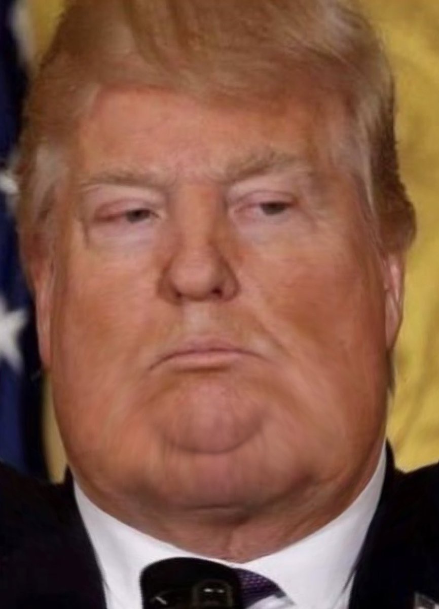 fat trump