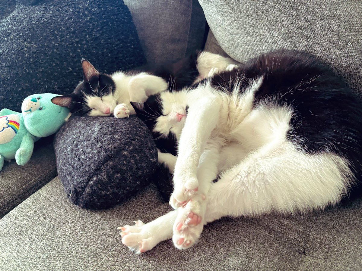 Kacy Sager tweet media