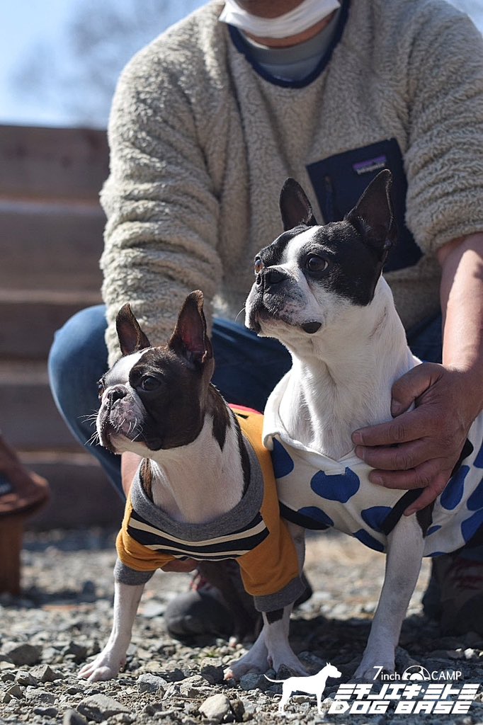 7inchCamp's tweet photo. 7inch CAMPミチノエキミトミDOG BASE
#7inchcamp
#7inchcampミチノエキミトミdogbase
#ミチノエキミトミ
#道の駅みとみ
#ドックランサイト
#犬のいる暮らし
#犬好きな人と繋がりたい
#西沢渓谷
#広瀬ダム
#キャンプ場
#キャンプのある暮らし
#dogbase https://t.co/inNlqBOALe