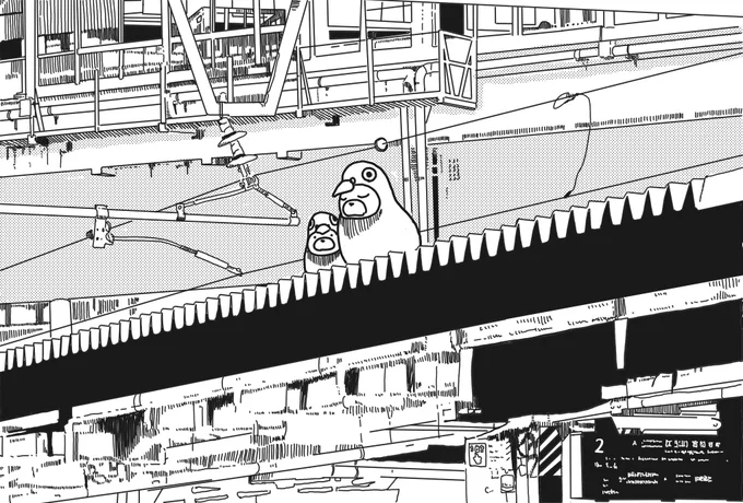 西明石駅2番線ホーム屋根屋根の上の鳩 