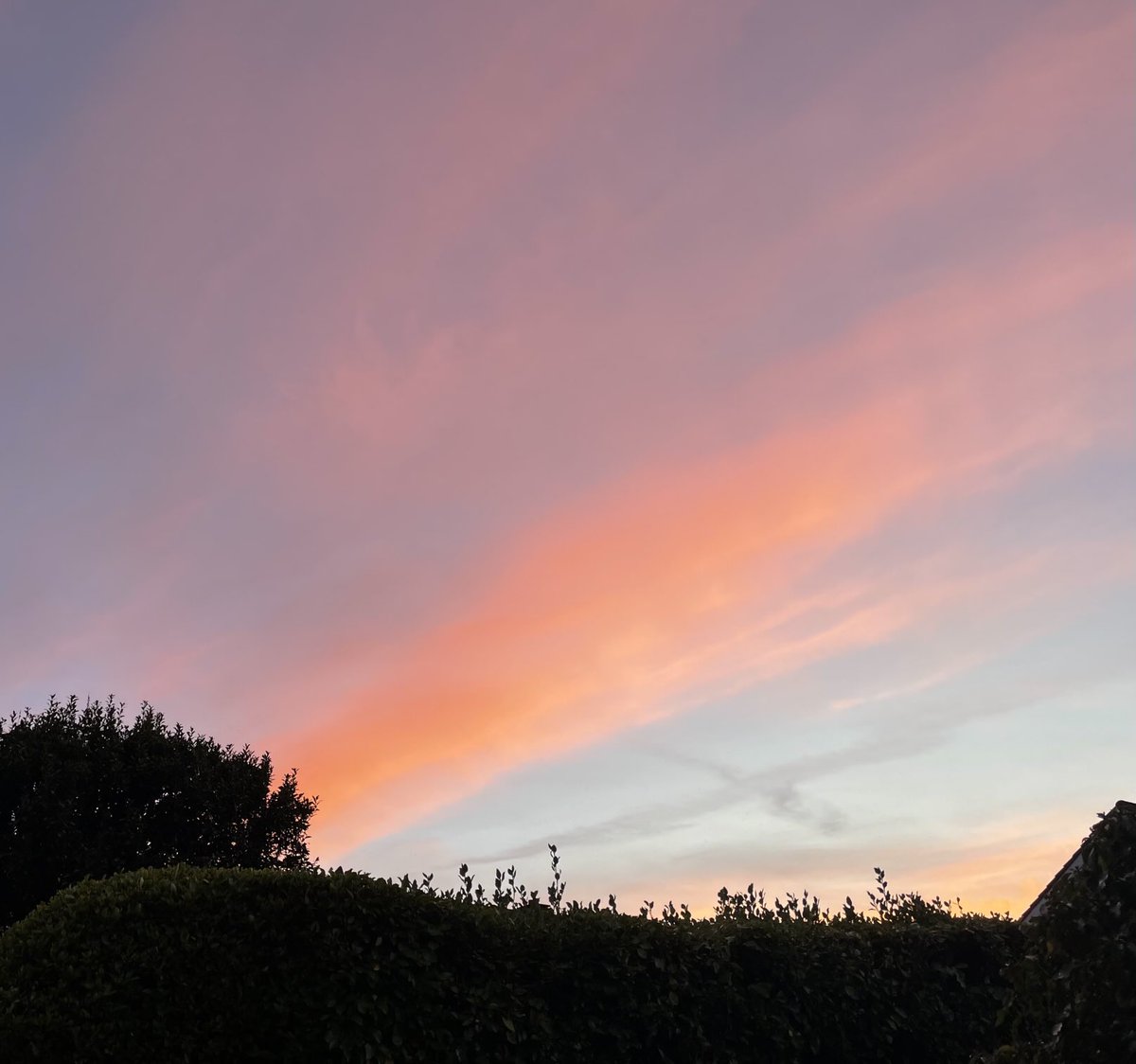 Brush stroke, 7.05pm