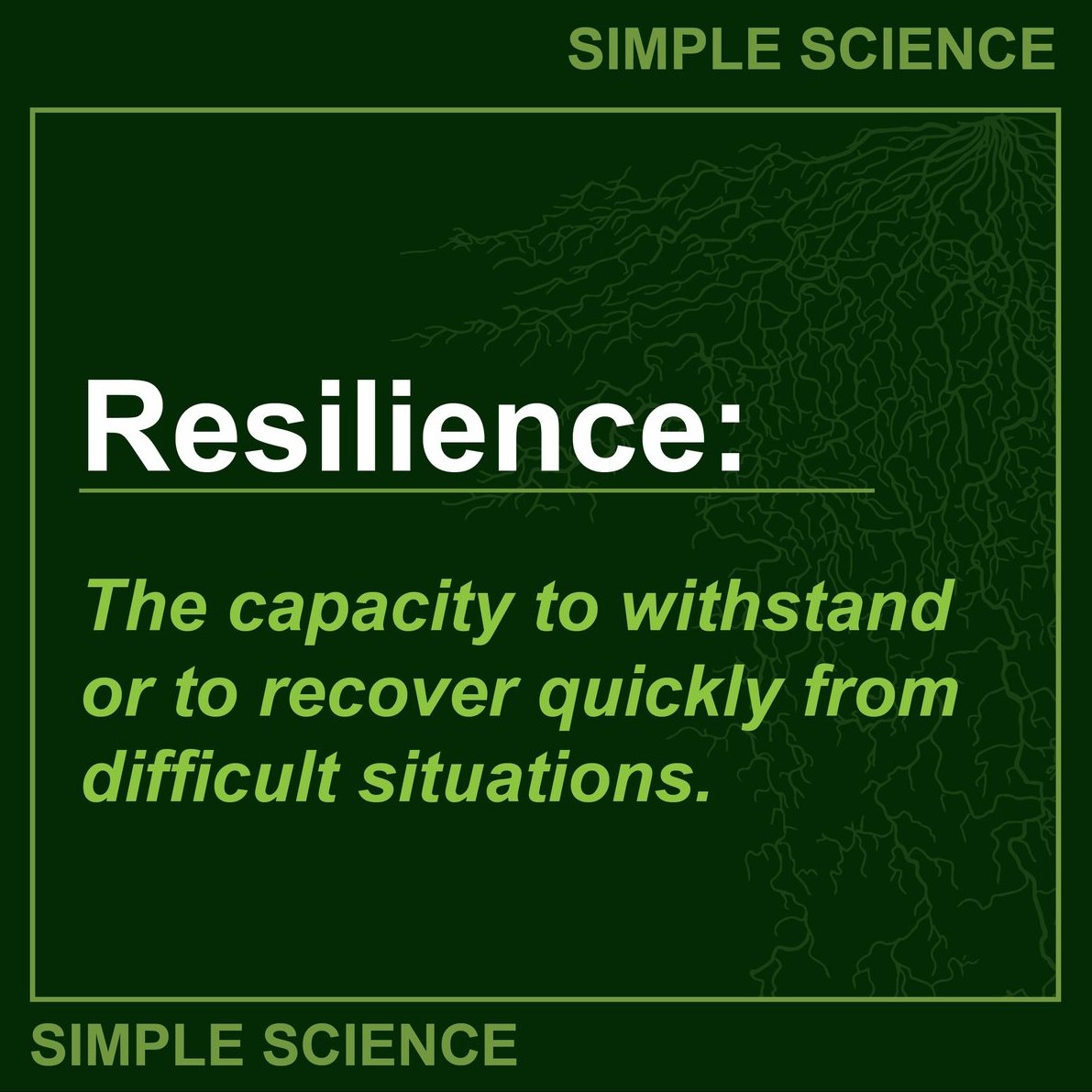 Ecotea_Urban's tweet image. The community of microbes in EcoTea are what makes the resilience. Every crop, in every soil type and in whatever conditions next season throws at you. EcoTea products – the resilience is forged in community.

#SimpleScience #Science #Resilience #ResultsofBiology