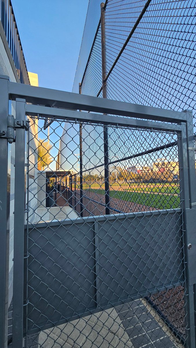 Colleen ❤s the Yanks tweet media