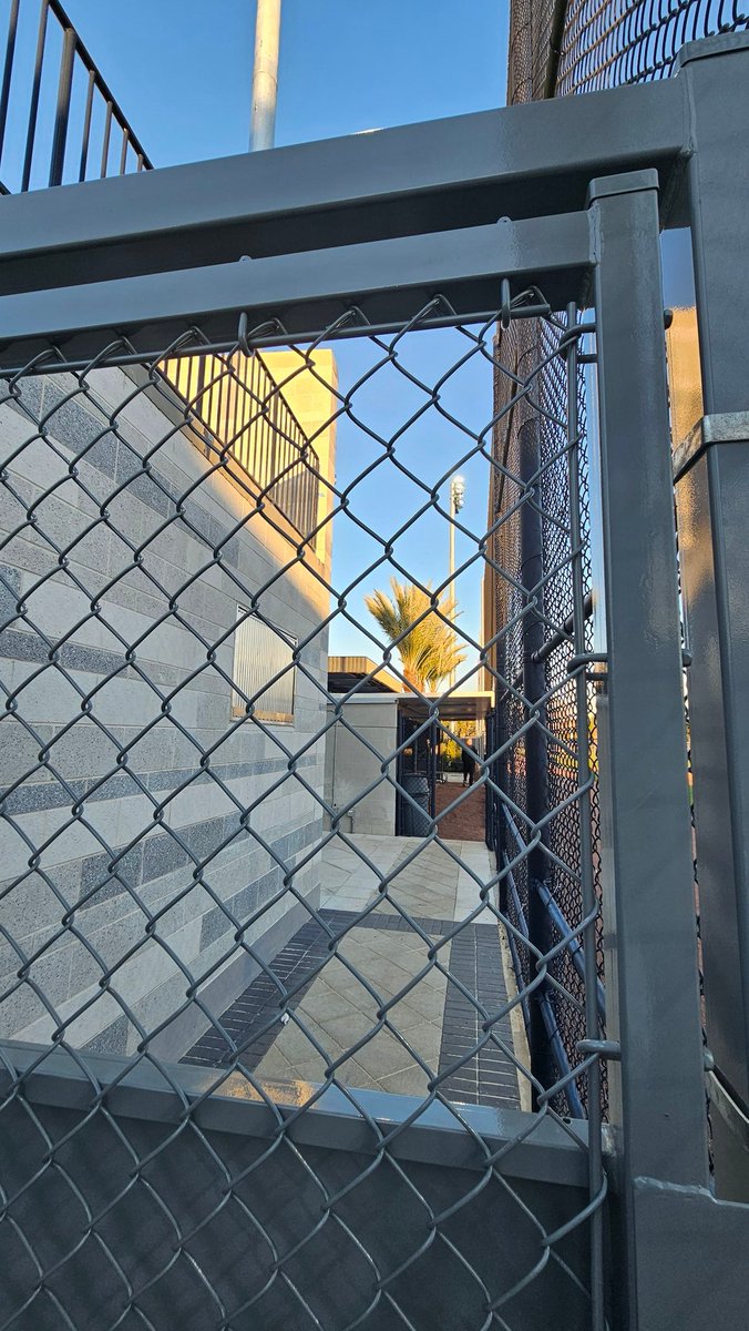 Colleen ❤s the Yanks tweet media