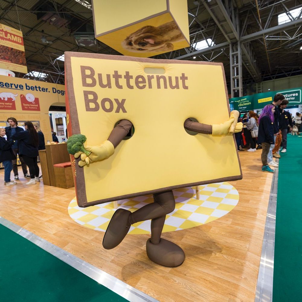 jellyheadstudio's tweet photo. Creating the iconic Butternut Box box for @ButternutBox which then got lots of attention at Crufts 2025! @Crufts #crufts2025 #crufts #mascot #costume #madebyjellyhead https://t.co/m22sK4VK6Y