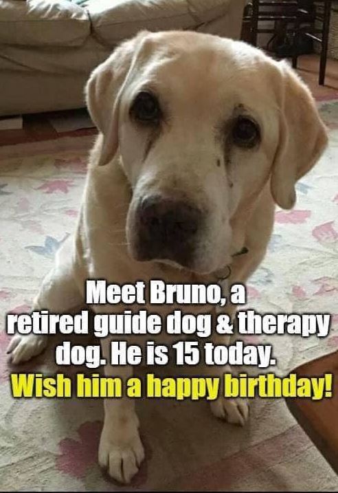 💝🎂🥂