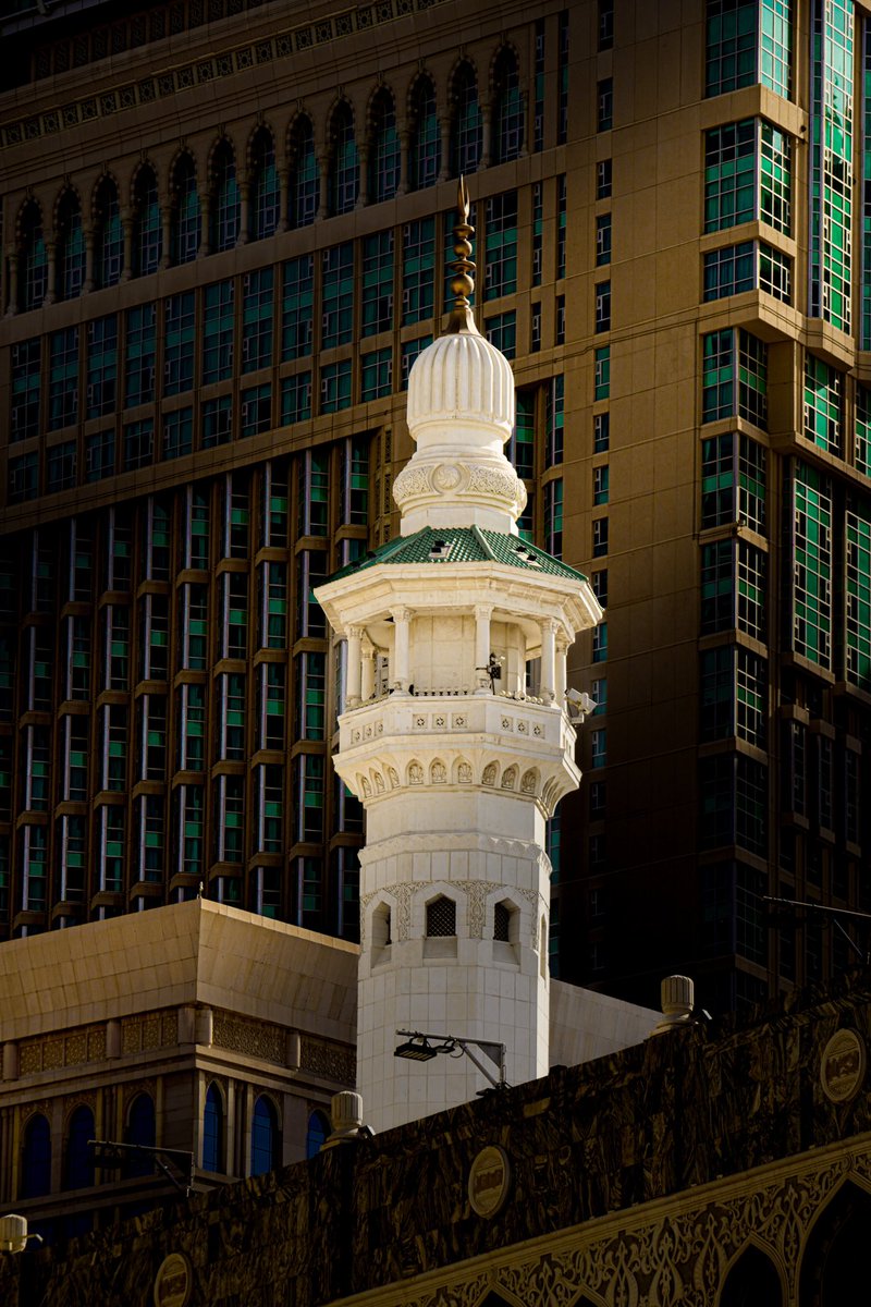 زيد المطرفي tweet media