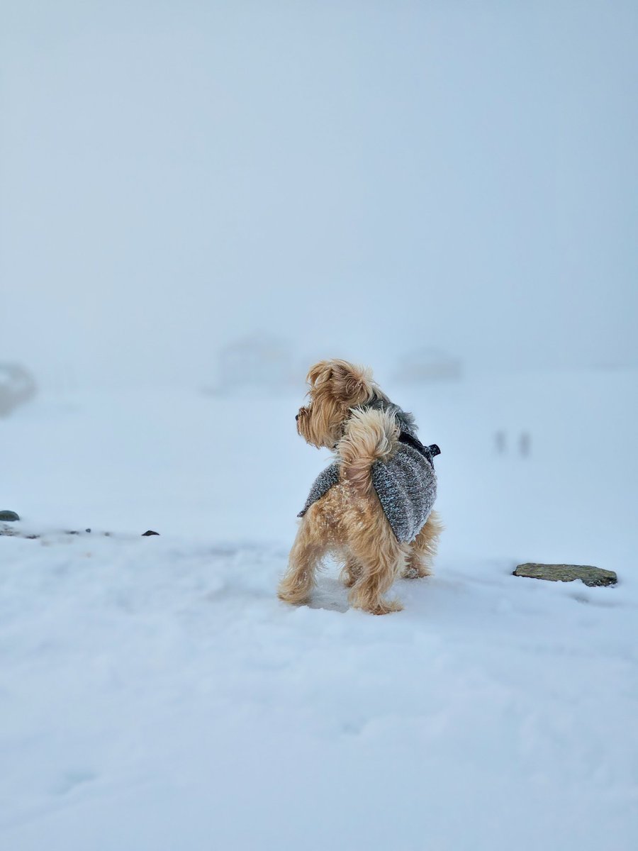 ATS413's tweet image. La sierra está espectacular
