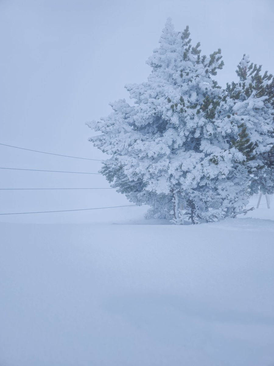 ATS413's tweet image. La sierra está espectacular