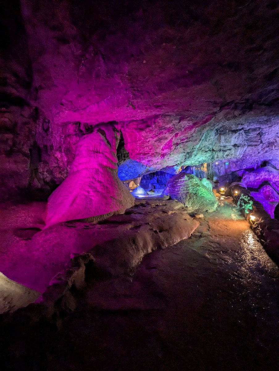 Masha the Ninth tweet media