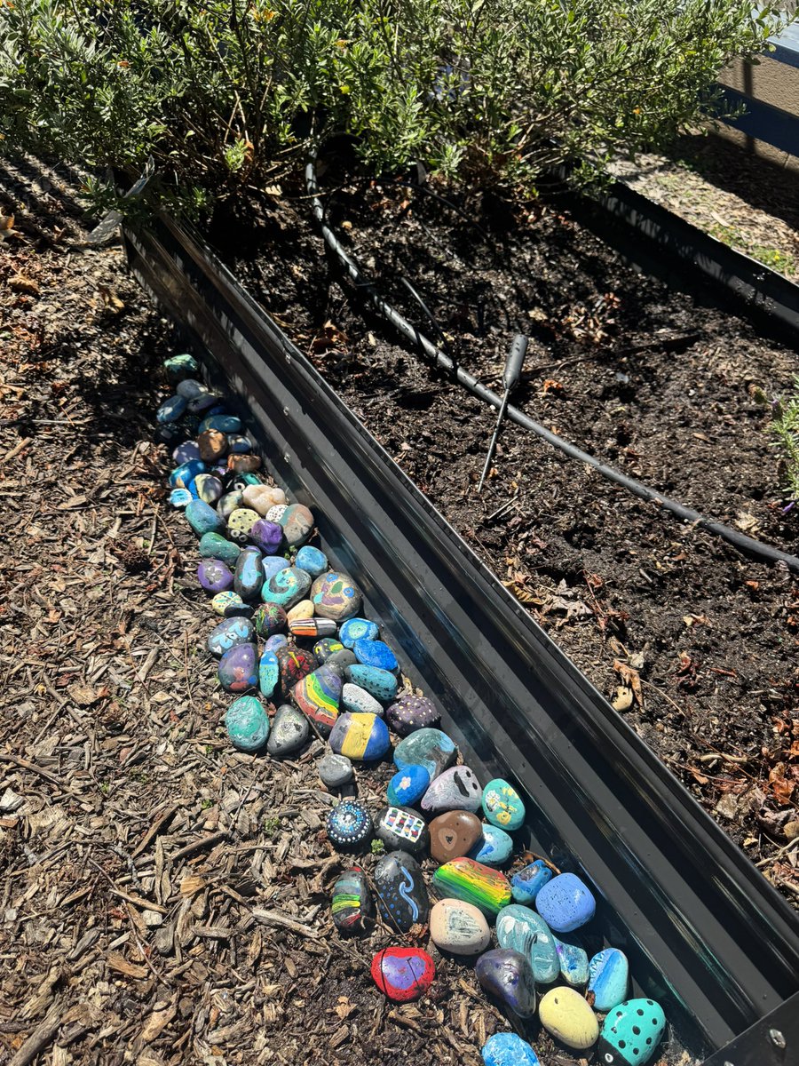 Sequoia Middle School- Home of the Bears tweet media