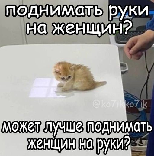 Подниму и женщин и мужчин за чашку чая