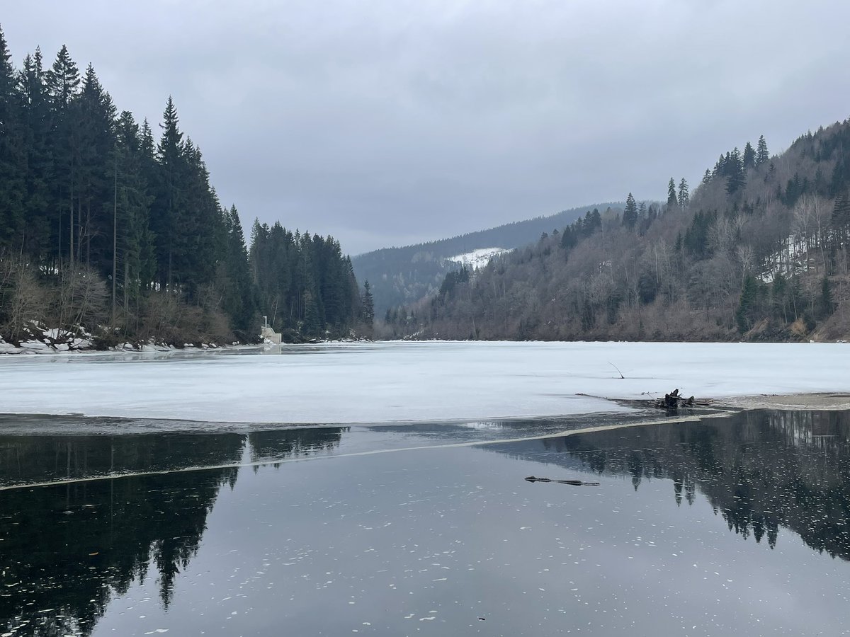 VMrozi's tweet photo. Plování u kry ledové, voda tři stupně… nic víc mrož nepotřebuje. Tak jednoduché to je ❄️🥶🏊🏻‍♂️ #VysehradstiMrozi #Krkonose #Labska https://t.co/9KlTUwotGe